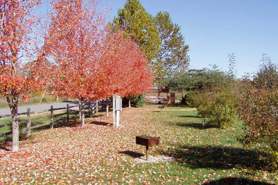 Autumn Scene RV Sites